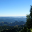 a distant sea of blue-green mountains