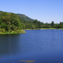 bright blue lake bordered by green trees and a hill