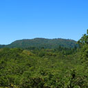 mountain with it's foothills and with meadow and trees closely in foreground