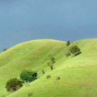 soft, bright, green hill with descending line of trees, flanked by blue sky
				above and  green trees below