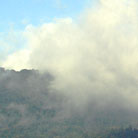 large mist lifting off of vinyard and mountain